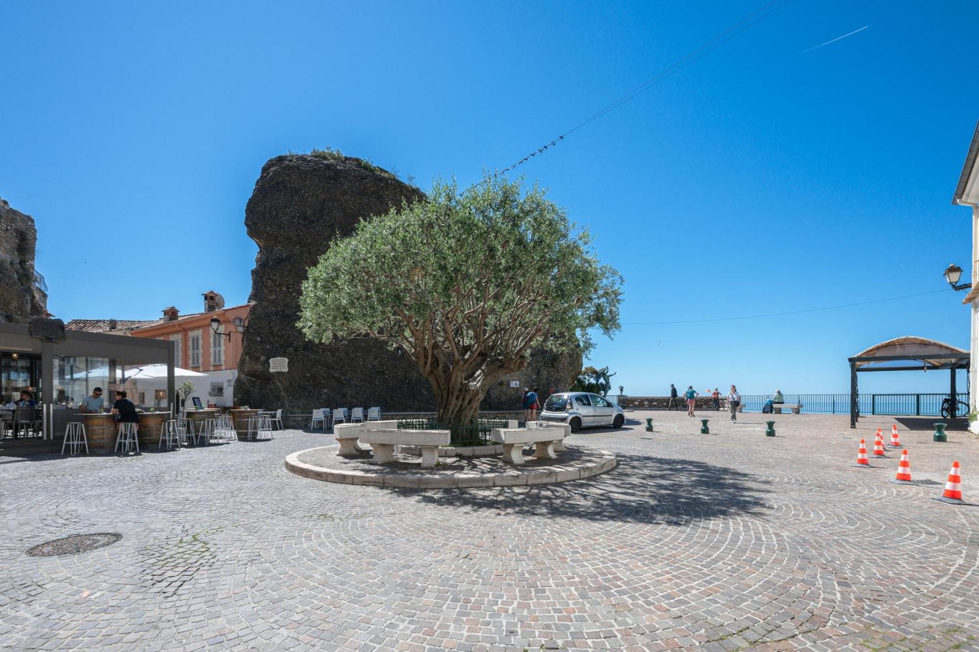 Le Coq Grimaldi - Wifi - Air Conditioning - Quiet Rocabruna Exterior foto